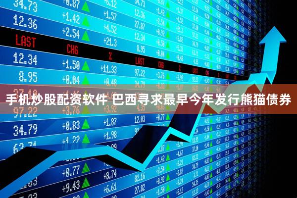 手机炒股配资软件 巴西寻求最早今年发行熊猫债券